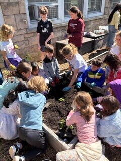 Northeast students working in the school garden