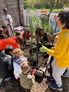 Northeast students working in the school garden