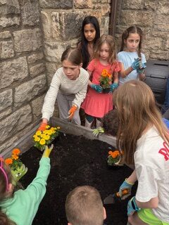 Northeast students planting in the school garden