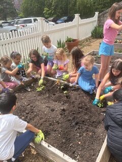 Northeast students planting in the school garden